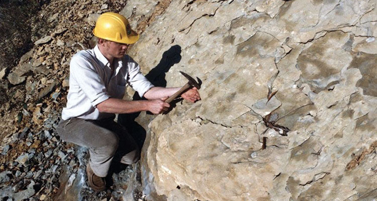 Assicurazioni Area Tecnica