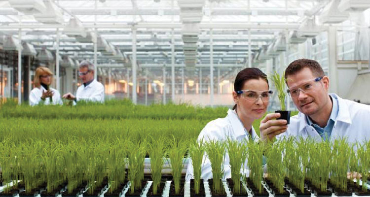 Assicurazioni Area Tecnica