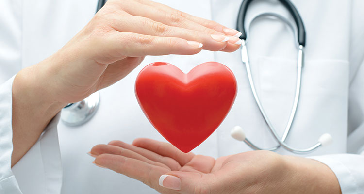 Libero Professionista Specialista