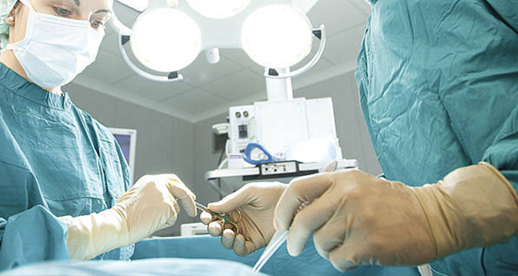 Libero Professionista Specialista