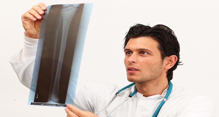 Libero Professionista Specialista