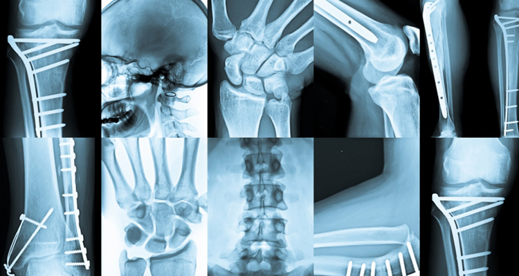 Libero Professionista Specialista