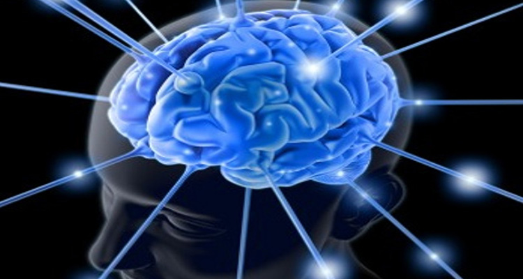 Libero Professionista Specialista