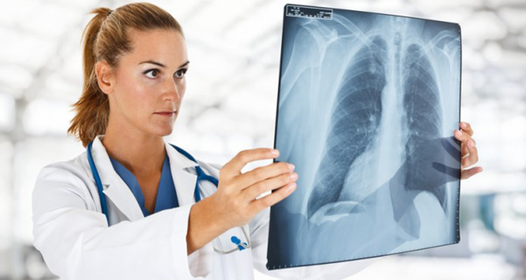 Libero Professionista Specialista